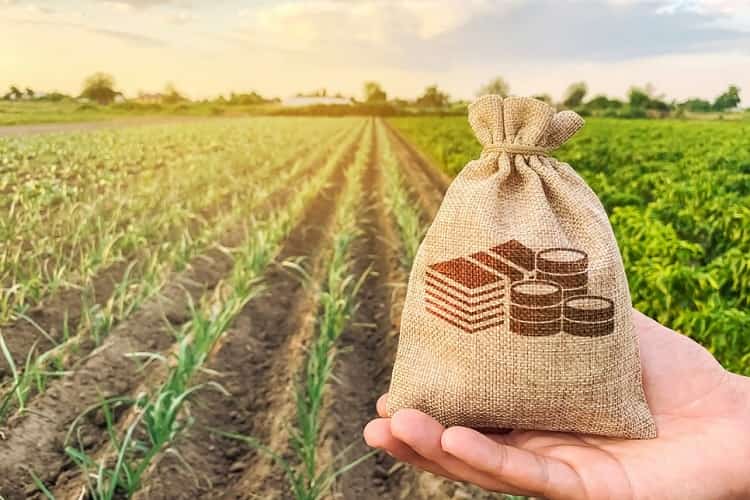 Formulario 4888 SUNAT en Perú: Declaración Jurada de Acogimiento a los Beneficios Tributarios de la Ley de Promoción del Sector Agrario y de la Ley de Promoción y Desarrollo de la Acuicultura